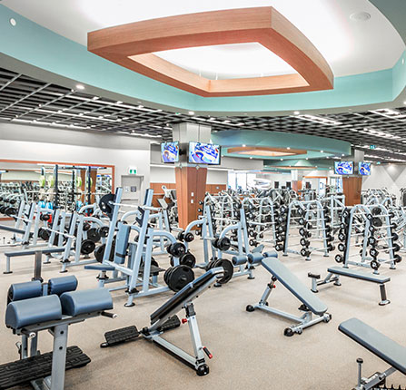 Fitness equipment richmond discount hill