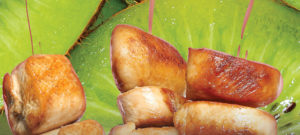 Grilled Kiwi Chicken Kabobs