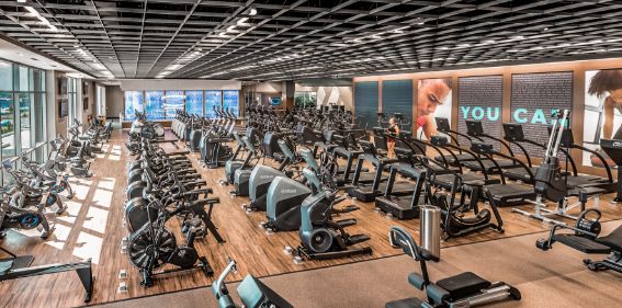 Cardio Machines