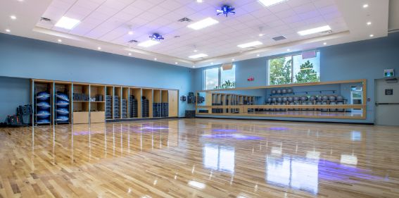 Move Studio
