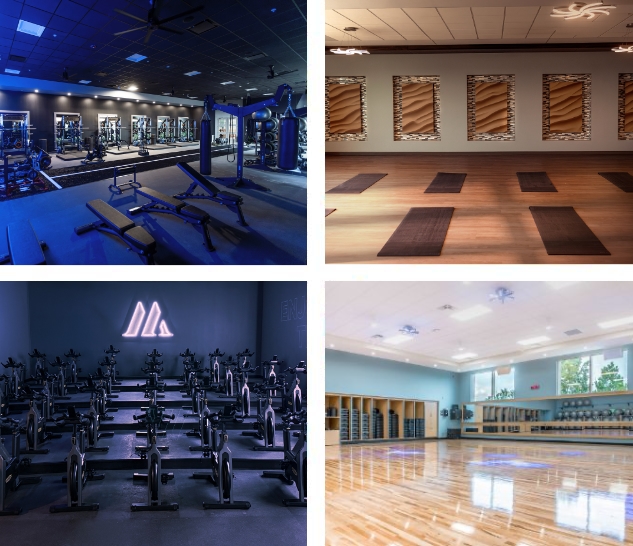 Dedicated Studios
