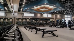 Modern gym with benches and dumbbells for performing the dumbbell bench press.