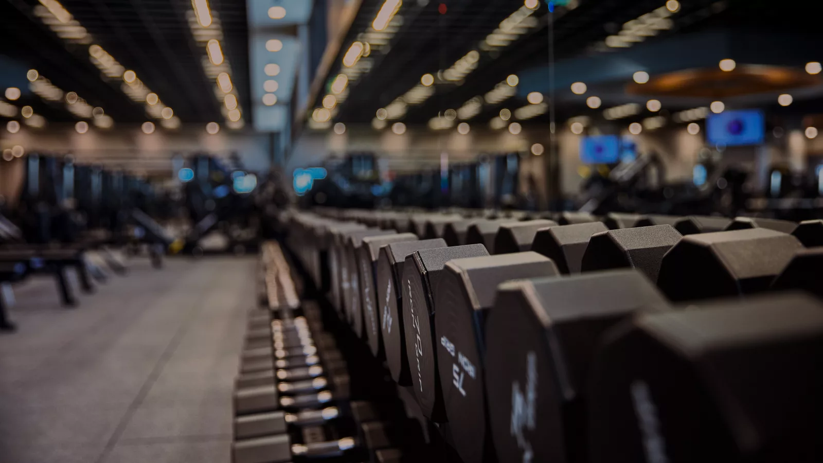 Dumbbells in a gym setting, highlighting reasons why you aren't gaining muscle.